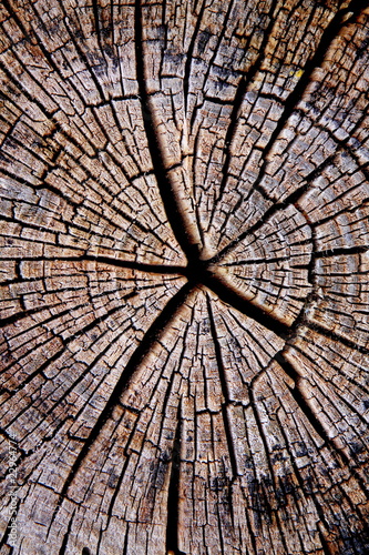 Photo: Holz-5225b2 Holz-5225b2