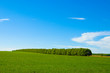 Green field and blue sky 3