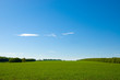 Green field and blue sky 2