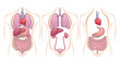 Organs