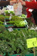 Wochenmarkt 2297