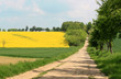 rural alley