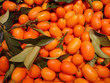 kumquats
