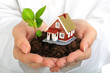 Small house and plant in hands. Small house and plant in hands.