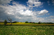 Frühling II
