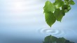 Leaf with soft water ripple and reflection Leaf with soft water ripple and reflection