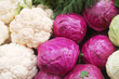 Close up of vegetables