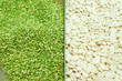 close up of peas and kidney beans