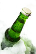 Close up view of the bottle in ice Close up view of the bottle in ice
