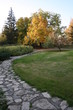 yol ve ağaçlar