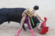 corrida corrida