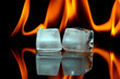 Icecubes