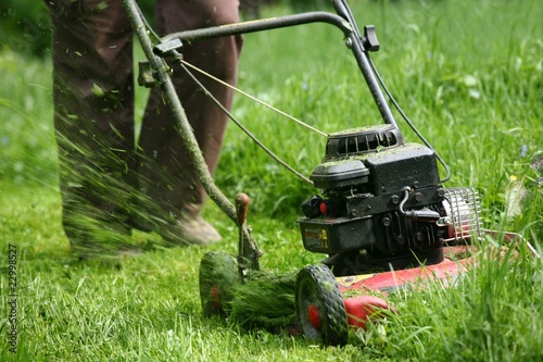 Photo: Mowing Mowing