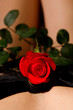 rose and lingerie