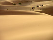 caravane dans les dunes du maroc caravane dans les dunes du maroc