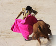 corrida corrida