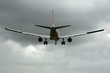 fliegen