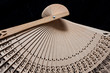 Chinese fan
