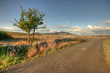 Rural Irish Road Rural Irish Road
