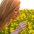 Sommer Sommer