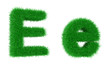 grass font
