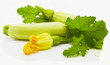 Vegetable marrows