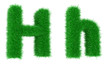 grass font