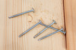 five steel screws on a wooden plank five steel screws on a wooden plank