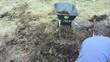 Man Digging and Landscaping