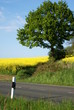 Himmlisch4