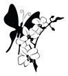 Orchid