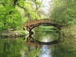 romantische brücke im grünen