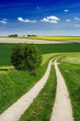 Feldlandschaft