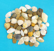 sea shells and stones