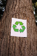 recycling sign on the trunk of a tree