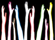 human hands