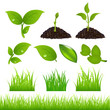 Green Spring Elements Set For Your Design Green Spring Elements Set For Your Design