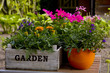 Flower garden