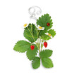 blooming bush of strawberries blooming bush of strawberries