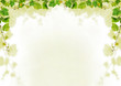 Grapevine background Grapevine background