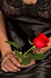 rose and black satin