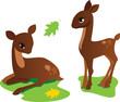 deer