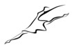 Dancing gracefully
