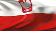 Video: Creased Polish satin flag in wind with seams and wrinkle Creased Polish satin flag in wind with seams and wrinkle