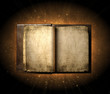 Fliiping blank pages in magic book with glow and particles