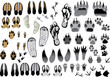 huge set of animal and human tracks huge set of animal and human tracks