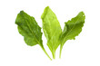 Spinach