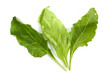 Spinach