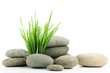 Zen stone with fresh grass