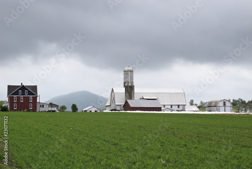 Photo: Amish farms Amish farms